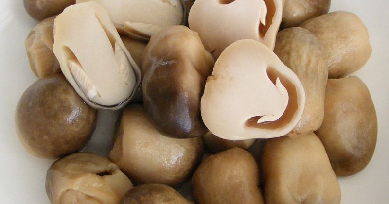 Ảnh 4: Nấm rơm bạn có thể để nguyên mũ hoặc cắt làm đôi