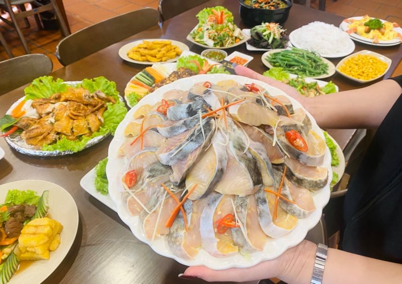 📷Cá tầm hiện tại rất phổ biến và có nhiều loài được biết đến