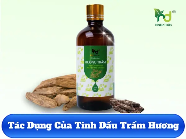 Hướng dẫn xông hơi hồng ngoại và tinh dầu tràm gió: Bí quyết tăng đề kháng, ngừa cảm cúm tại nhà