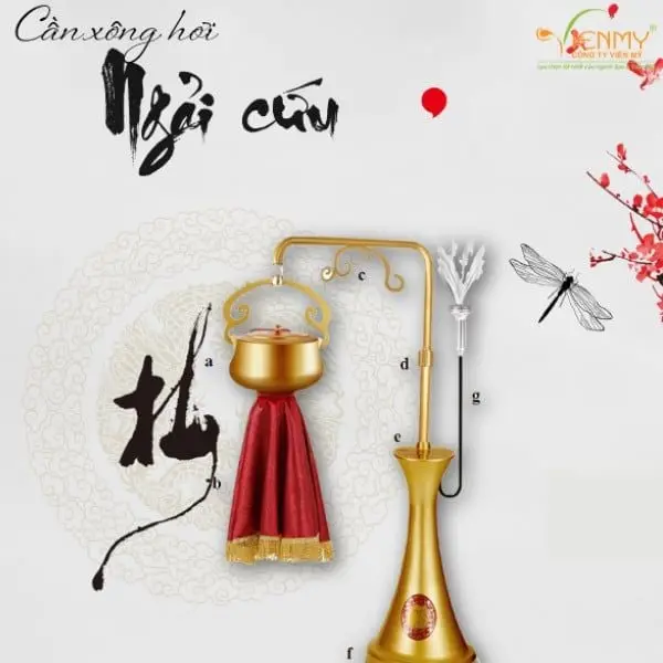 Máy xông ngải cứu (có đầu cạo gió) | Công ty Viên Mỹ chuyên cung cấp
