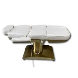 Giường thẩm mỹ điện GTM-B055